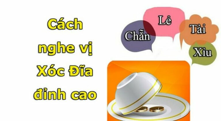 nghe vi xoc dia